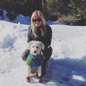 Meet your Posher, Ann